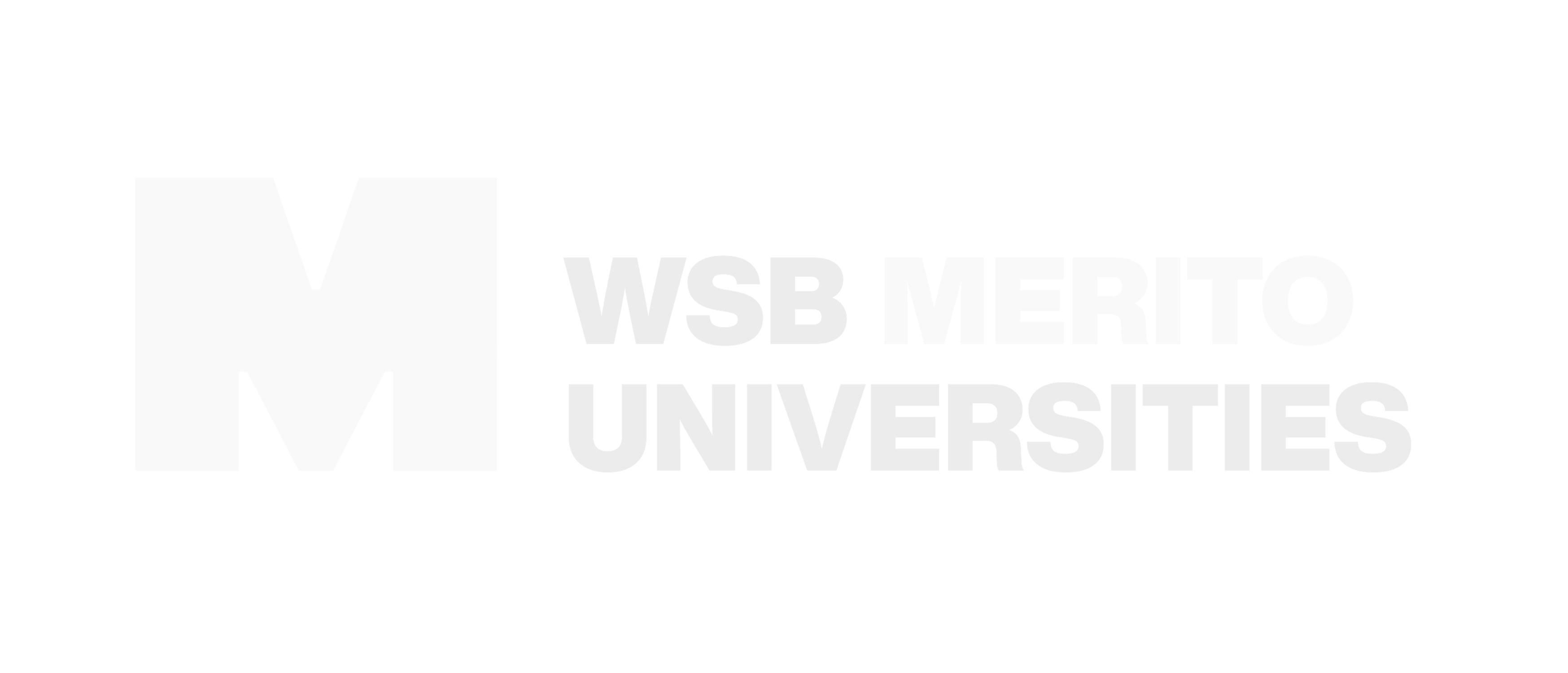 WSB Group logo - University partner using StudentSpeak for student recruitment and career guidance